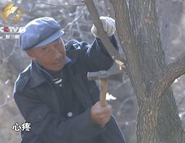 山西临县耗资4.7亿灌溉工程成摆设
