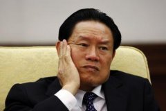 中央决定对周永康严重违纪立案审查并提起公诉