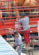 西安现注水牛肉 注水据点已被查处